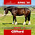 Horse ad