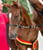 Anuncio de caballos