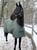 Horse ad