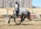 Annonce cheval