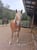 Annonce cheval