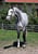 Annuncio cavallo