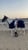 Annuncio cavallo