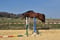 Horse ad