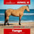 Anuncio de caballos
