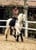 Annuncio cavallo