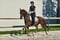 Horse ad