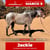 Anuncio de caballos