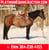 Horse ad