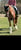 Horse ad