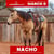Horse ad