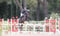 Annuncio cavallo