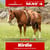 Horse ad