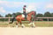 Horse ad