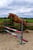 Annuncio cavallo