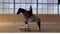 Annuncio cavallo