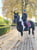 Horse ad