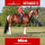 Paardadvertentie