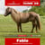 Annuncio cavallo