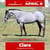 Horse ad