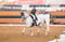 Horse ad