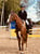 Annuncio cavallo