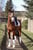 Horse ad
