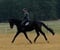 Annonce cheval