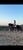 Annonce cheval