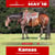 Horse ad