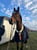 Horse ad