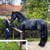 Paardadvertentie
