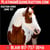 Horse ad