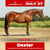 Horse ad