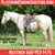 Horse ad
