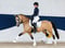 Annuncio cavallo