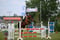 Horse ad