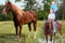 Horse ad