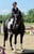 Annuncio cavallo