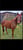 Horse ad