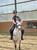 Anuncio de caballos