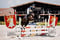 Horse ad