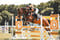 Annuncio cavallo