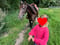 Horse ad