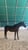 Horse ad