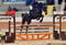Annonce cheval