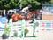 Annonce cheval