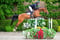 Annuncio cavallo