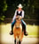 Horse ad