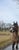 Horse ad